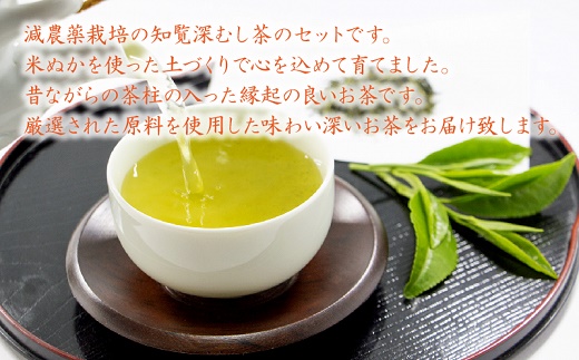 002-01-3 【お歳暮に】お茶で健康一番!知覧厳選緑茶5本セット