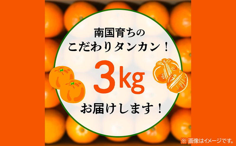 002-13 こだわりの薩摩濃密タンカン3kg
