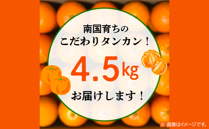 002-25 こだわりの薩摩濃密タンカン4.5kg
