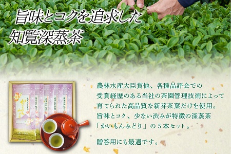 005-01 知覧銘茶 かいもんみどり5本セット