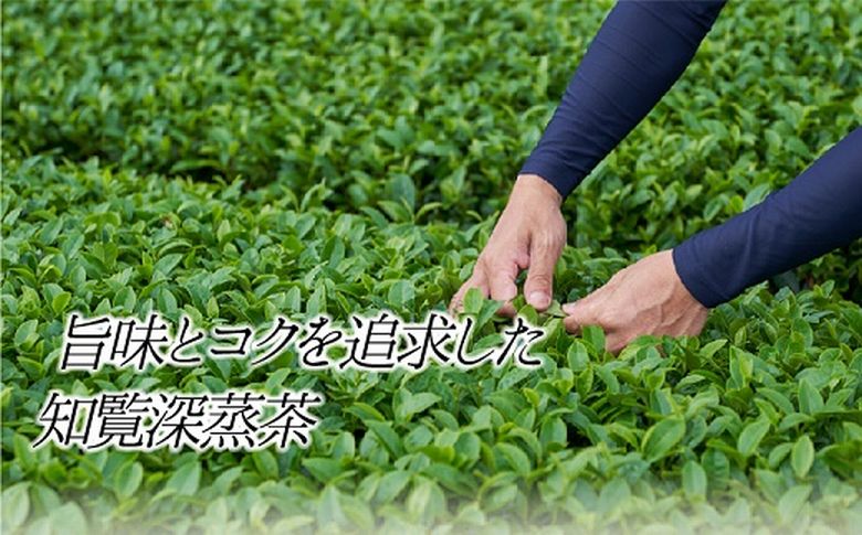 005-07 本格派からお手軽派まで 知覧茶バラエティーセット