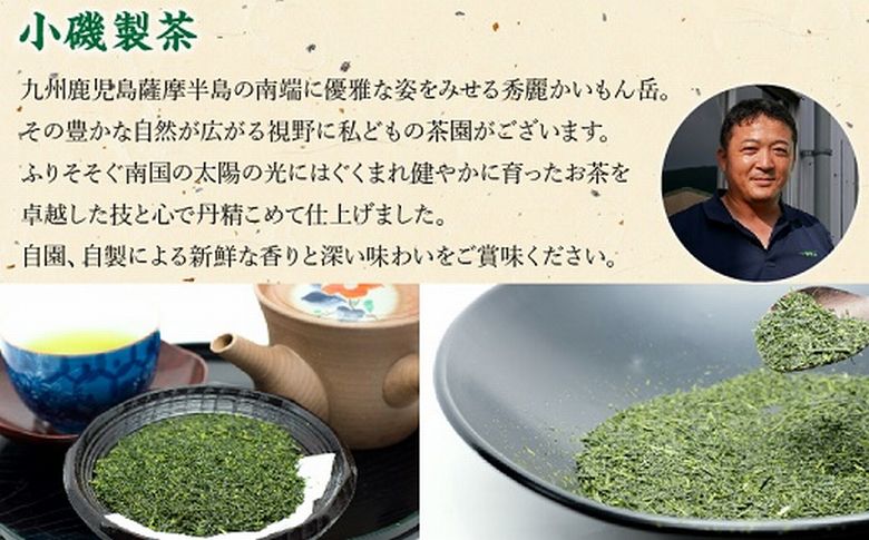 005-10 知覧深蒸し茶 かいもんみどり3本セット
