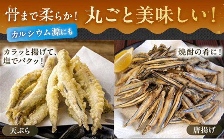 008-65 鹿児島県産キビナゴ丸ごと冷凍1.5kg