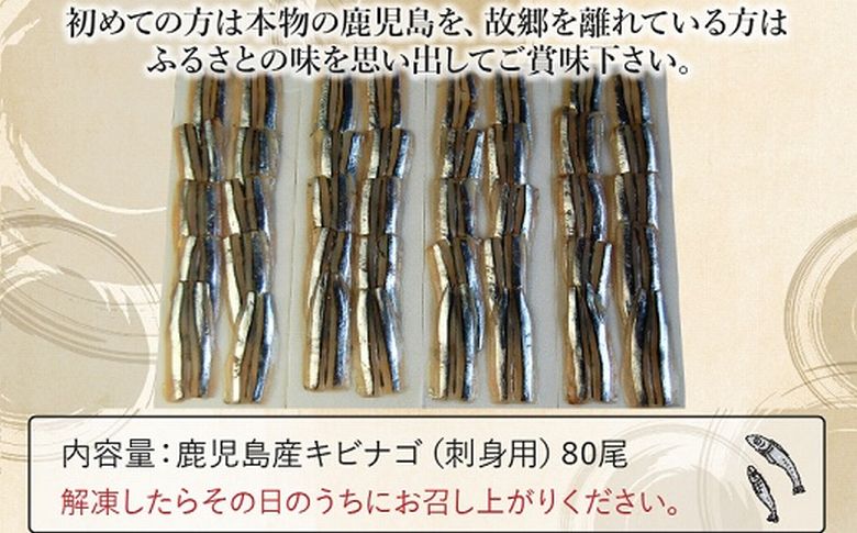 008-66 鹿児島産「キビナゴ」刺身用80尾