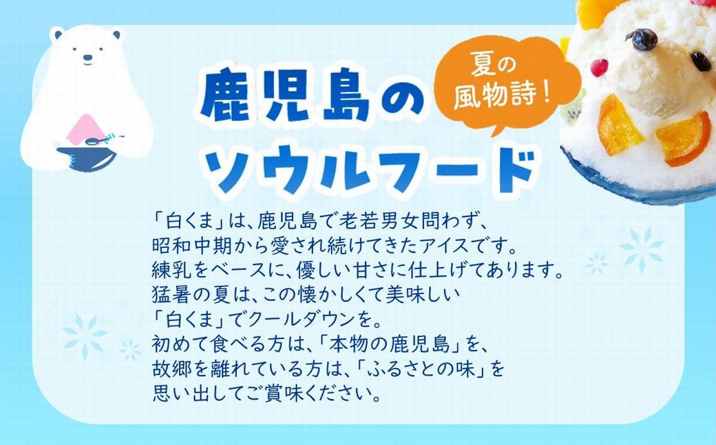 008-74 南国白くまモナカ10個セット