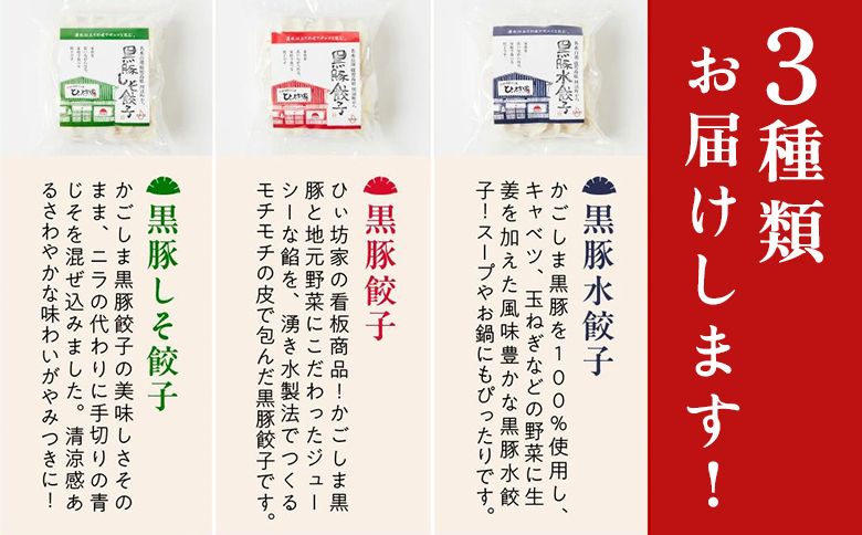 【全6回】ひぃ坊家の餃子定期便 015-10