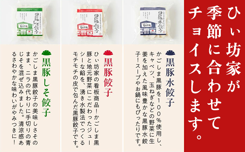 【全12回】ひぃ坊家の餃子定期便 015-20