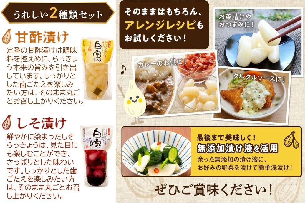 017-04 鹿児島県産砂丘らっきょう漬け大容量セット