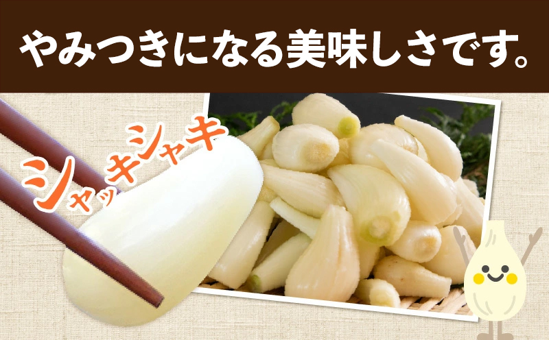 017-05 鹿児島県産砂丘らっきょう塩漬け1.8kg