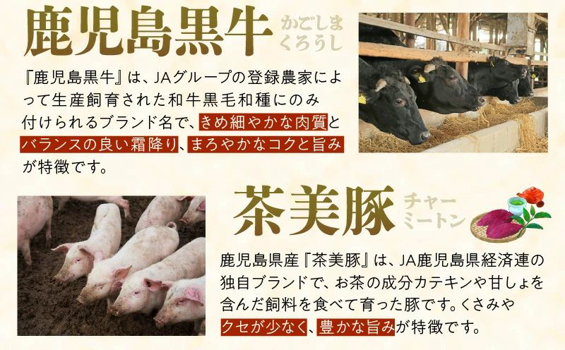【全6回】鹿児島黒牛・茶美豚食べ比べ定期便 022-17