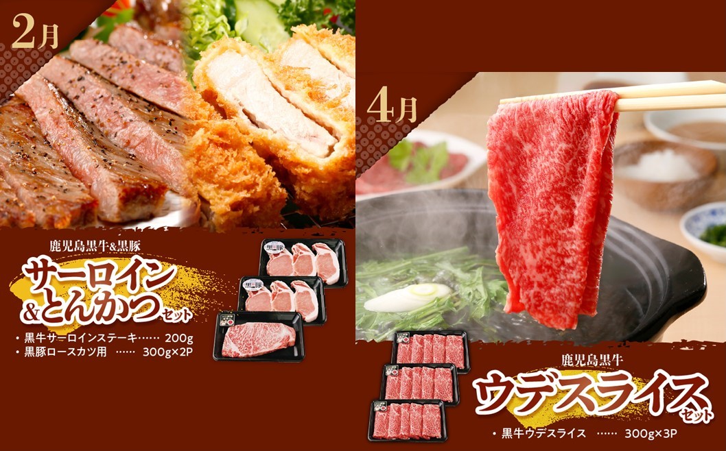 【全6回】鹿児島黒牛・黒豚食べ比べ定期便 022-57