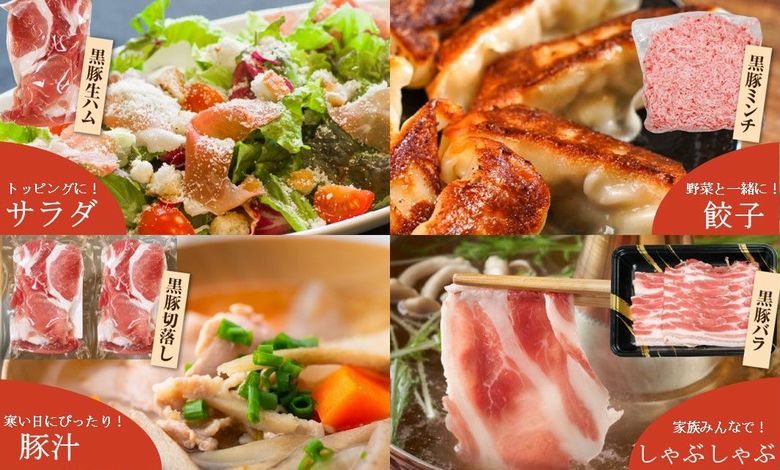 027-46 鹿児島県産黒豚5種 合計1,430g詰め合わせセット