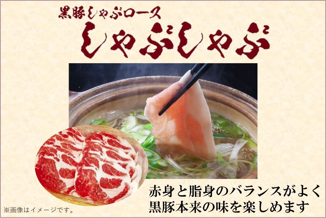 027-78 鹿児島県産黒豚三昧！とんかつ用黒豚・しゃぶしゃぶ・絶品生ハムセット