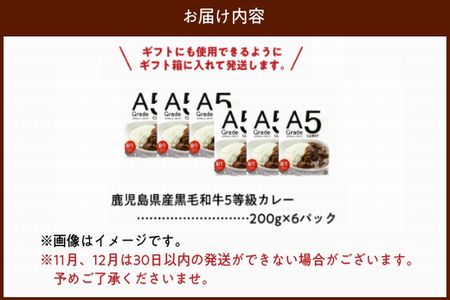 027-91 5等級黒毛和牛カレー ごろごろお肉入り200gx6個