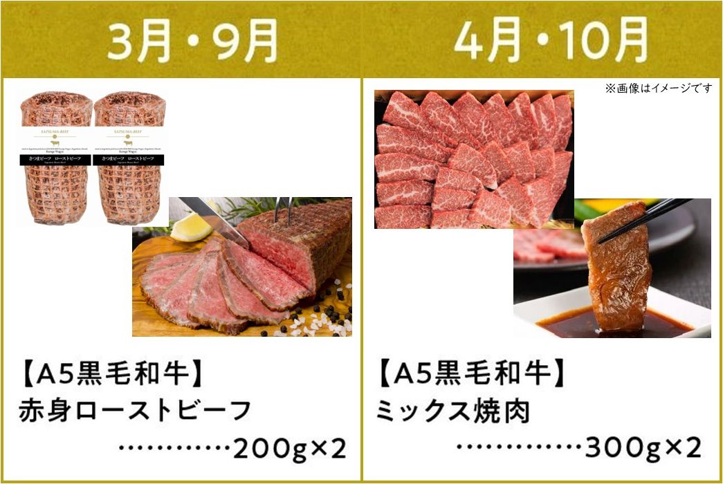 【全6回】鹿児島県産A5黒毛和牛霜降り・赤身食べ尽くし特選便3kg 027-95