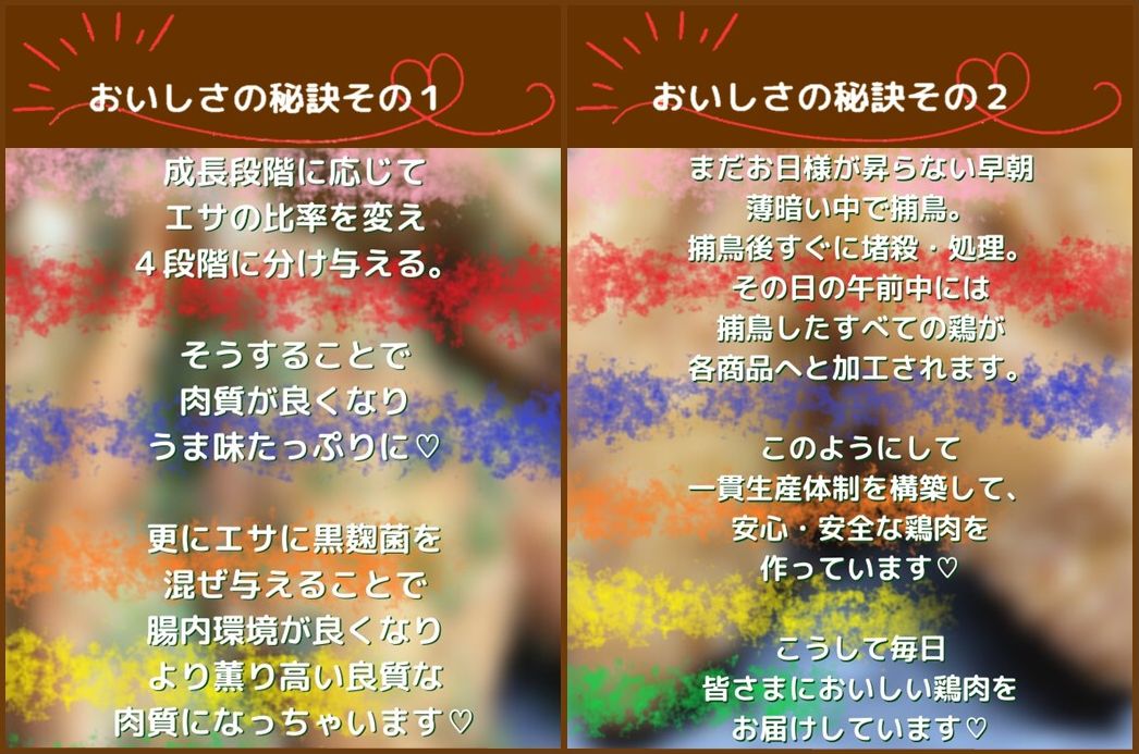 028-34 揚げるだけ！黒さつま鶏手羽唐用2種セット
