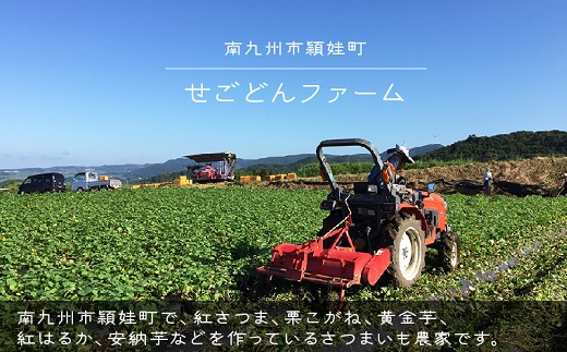 040-01-1 【お歳暮に】さつまいも3種おまかせ4kgセット