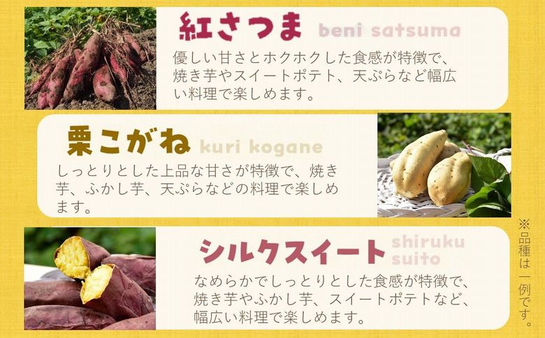 040-01 さつまいも3種おまかせ4kgセット