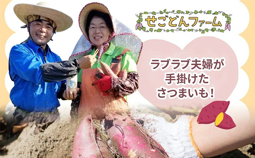 040-12-1 【お歳暮に】OIMO PORIPORI（おいもぽりぽり）