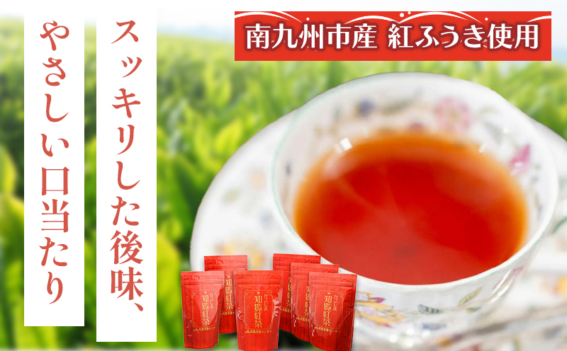 051-17 美味しい和紅茶!知覧紅茶ティーバッグ6袋セット