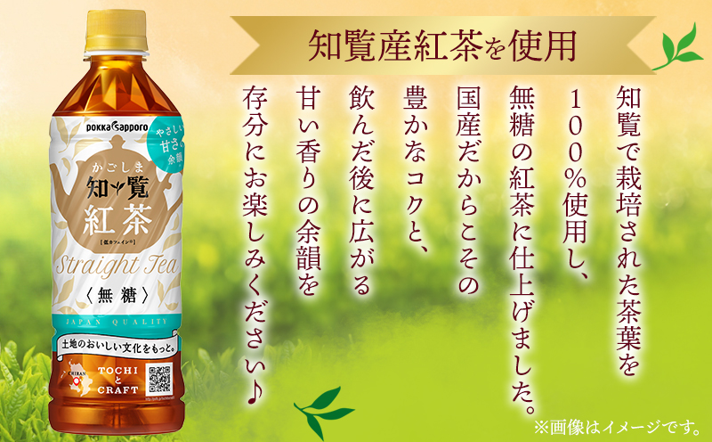 051-26 知覧かごしま紅茶 ペットボトル24本