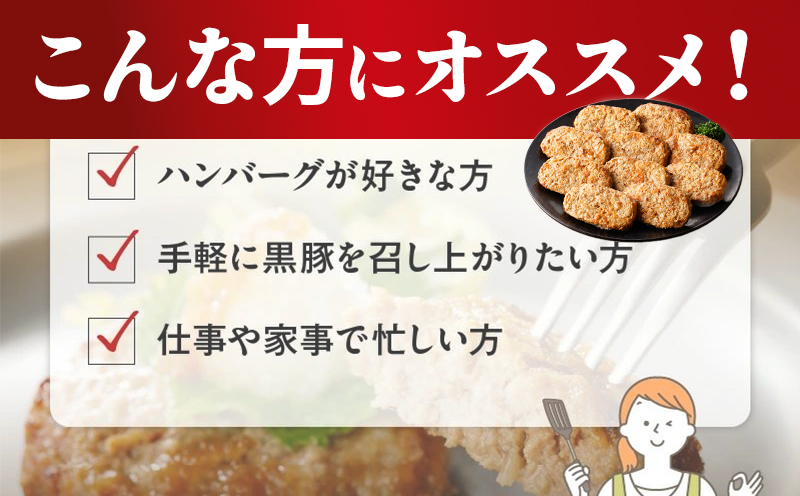 052-25 かごしま黒豚ハンバーグおろしソース10個