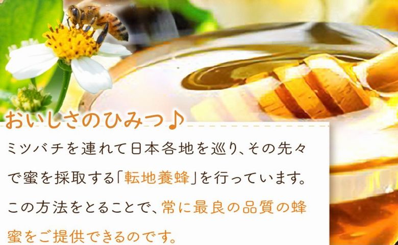 054-29 旅するはちみつ300g【たんぽぽ蜂蜜】