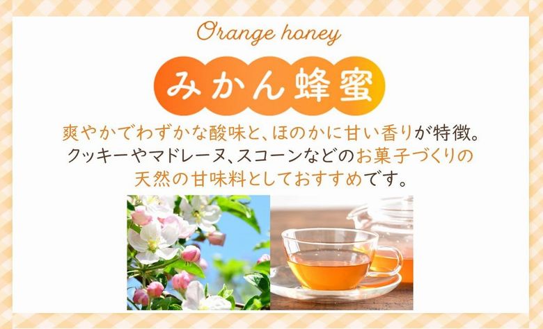 054-31 旅するはちみつ200g2本セット【りんご・みかん】