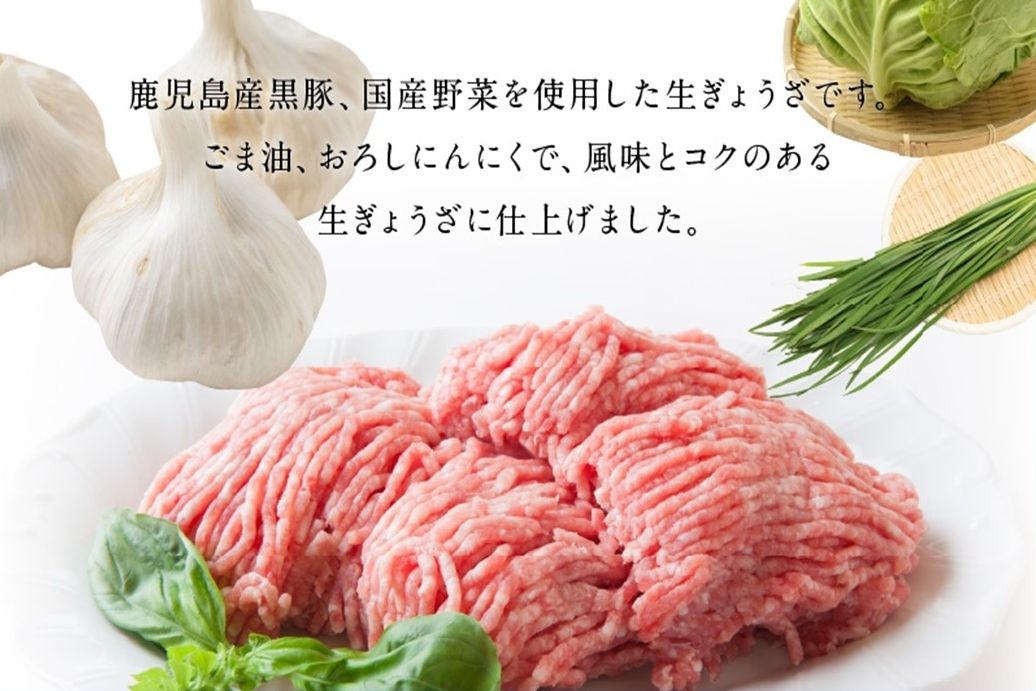 062-1-14 鹿児島黒豚餃子12P(計144個)