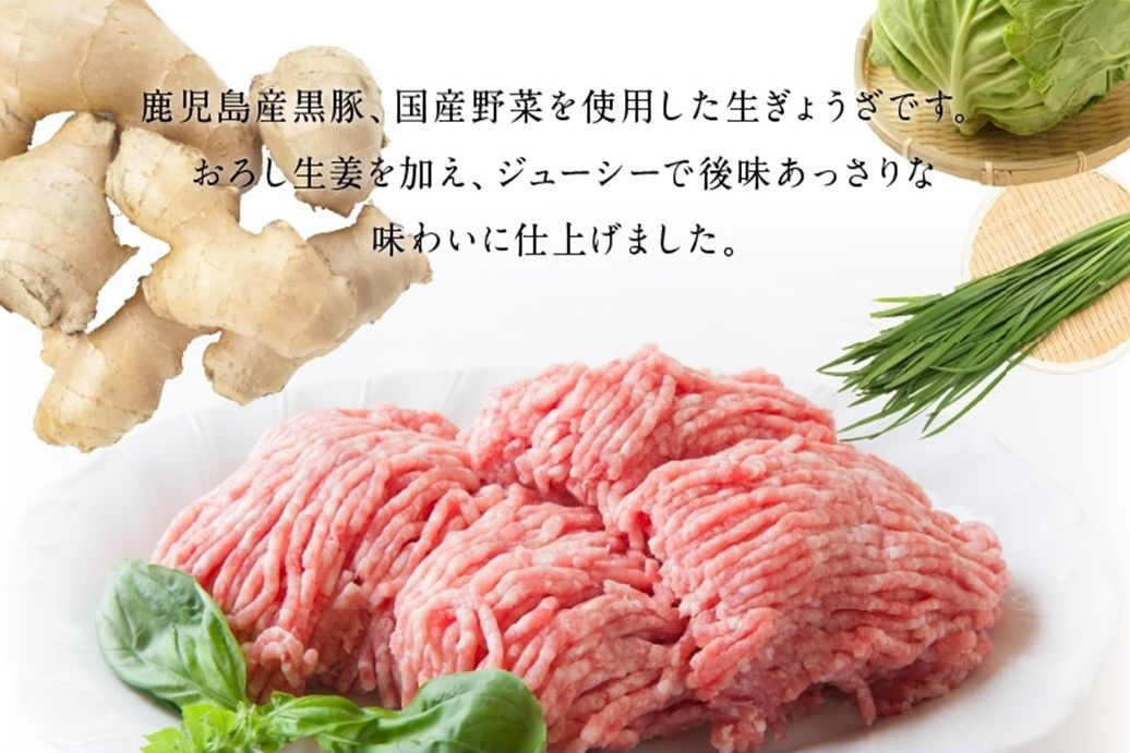 062-1-15 鹿児島黒豚餃子生姜風味12P(計144個)