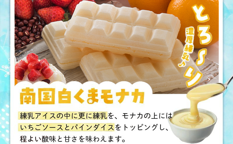 062-8-14 鹿児島名物南国白くま&モナカ詰合せ