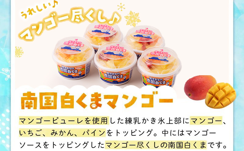 062-8-17 南国白くま・南国白くまマンゴー10個詰合せセット