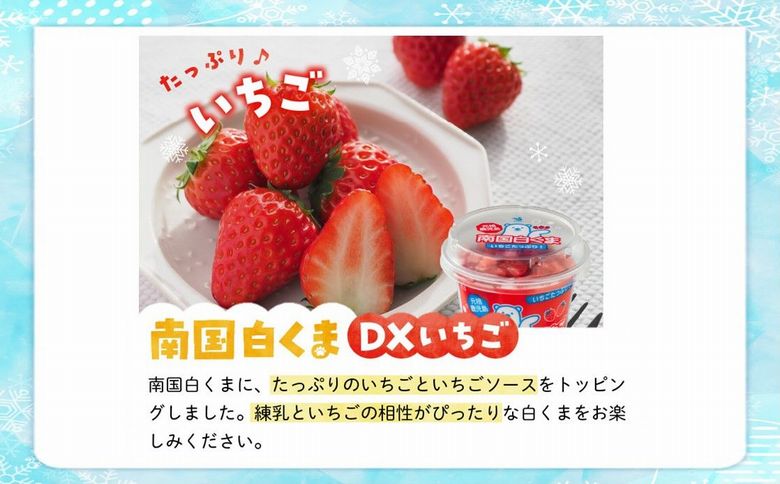 062-8-18 南国白くまDX・南国白くまDXいちご8個詰合せセット