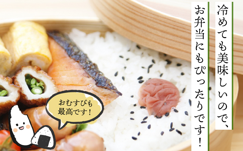 067-01 鹿児島県産ミルキークイーン5kg