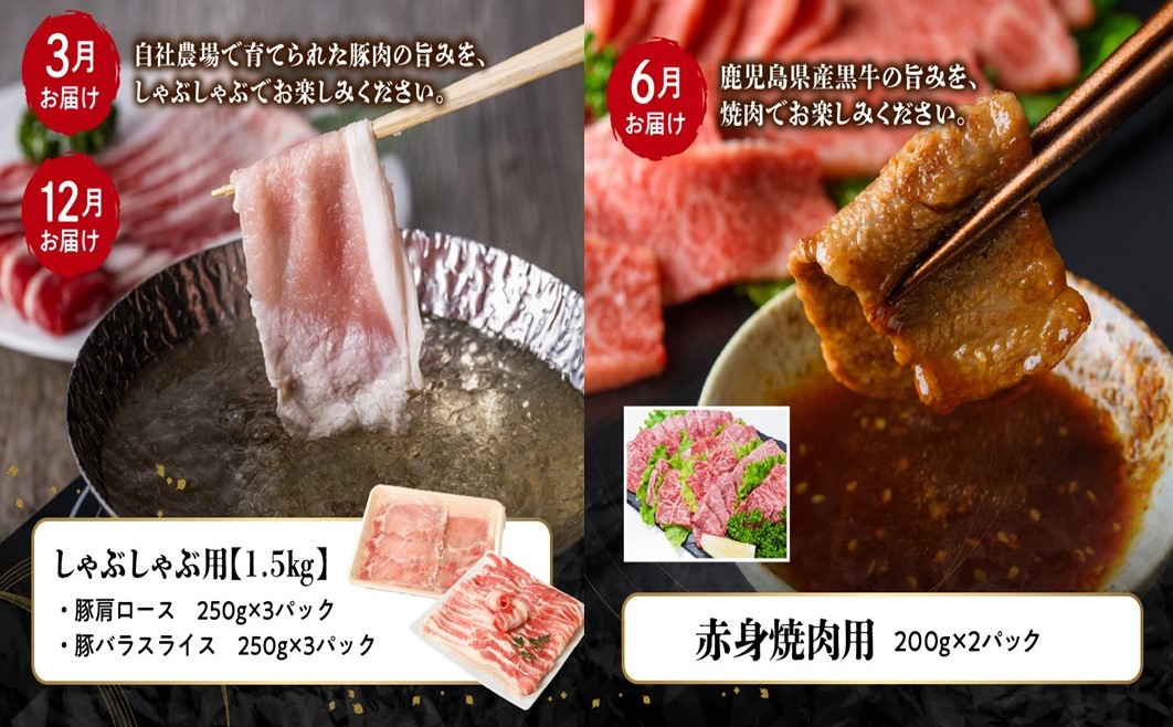 【全4回】鹿児島県産 カミチク豚 定期便 076-16