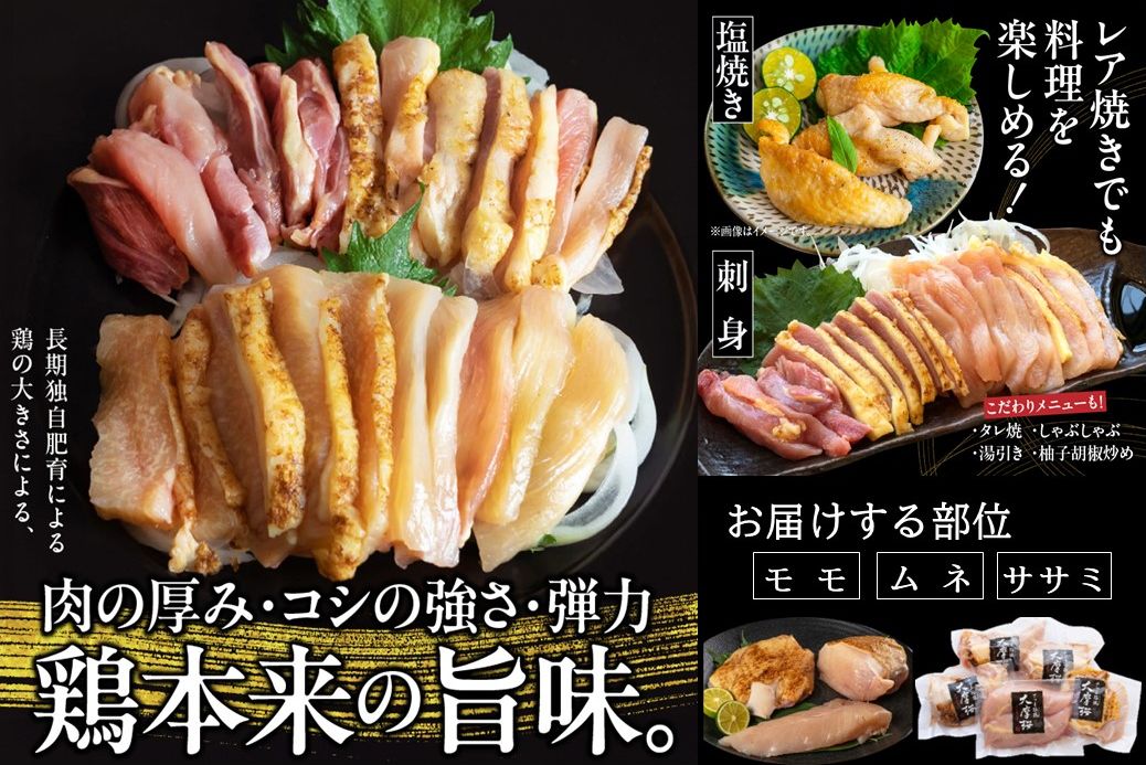 【全6回】さつま極鶏大摩桜 刺身用ブロック定期便 085-10