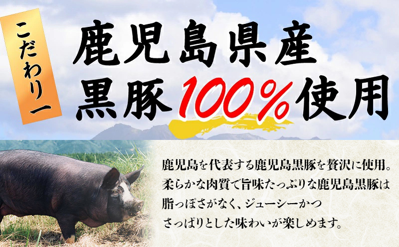 087-01 国産素材にこだわった鹿児島黒豚餃子120個