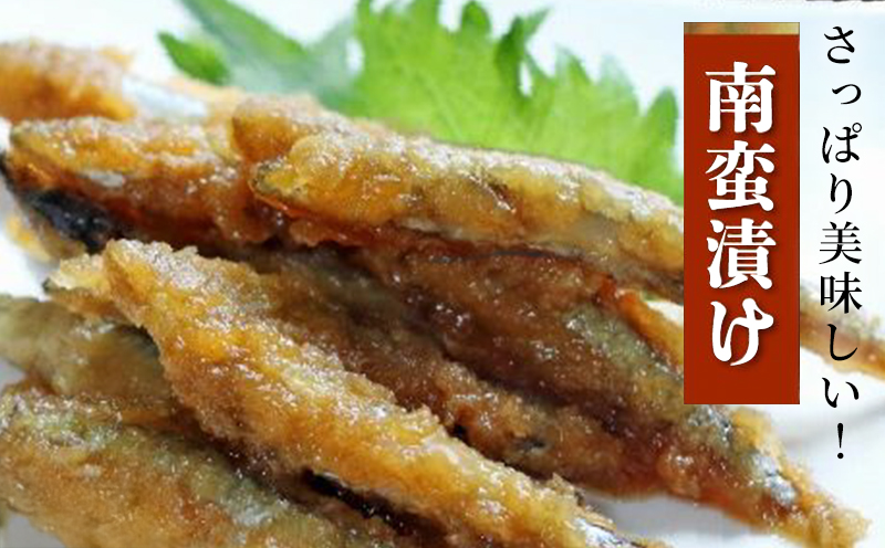 106-15 鹿児島県産キビナゴ1kg