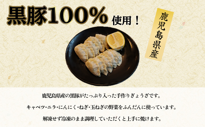 107-03 黒豚100%ギョウザ（10個入×8パック）