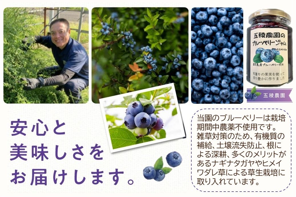 115-07 ブルーベリージャム 250g×4個