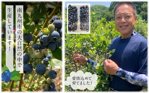 115-10 冷凍ブルーベリー1kg