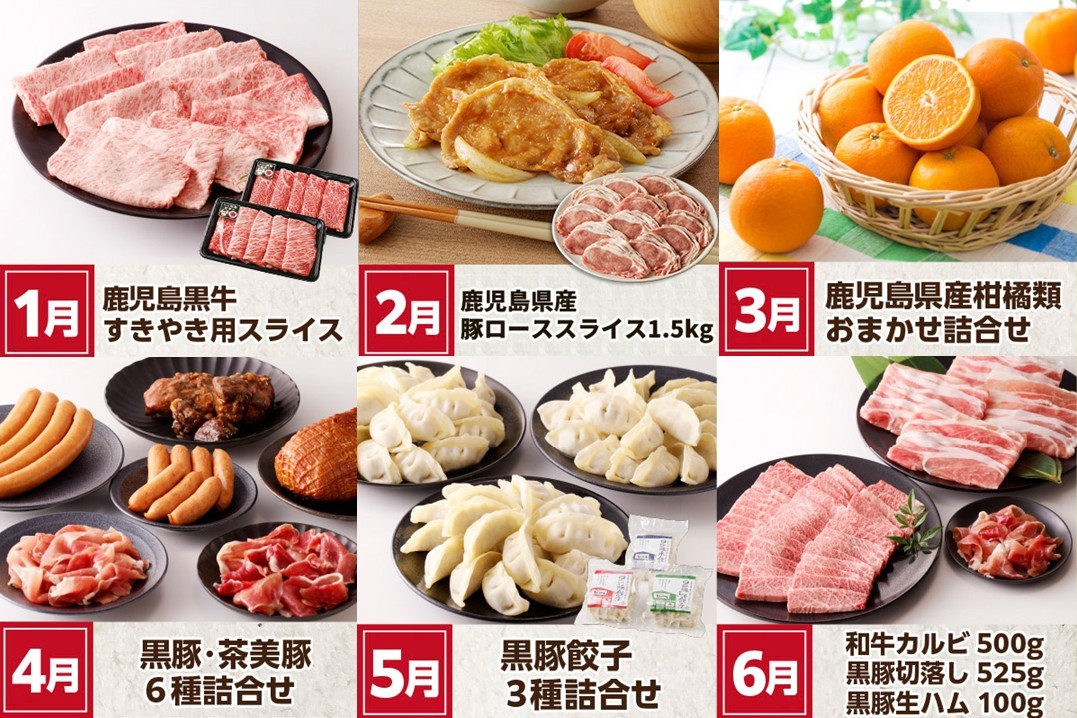 【全12回】南九州まんぞく定期便 MK-SP