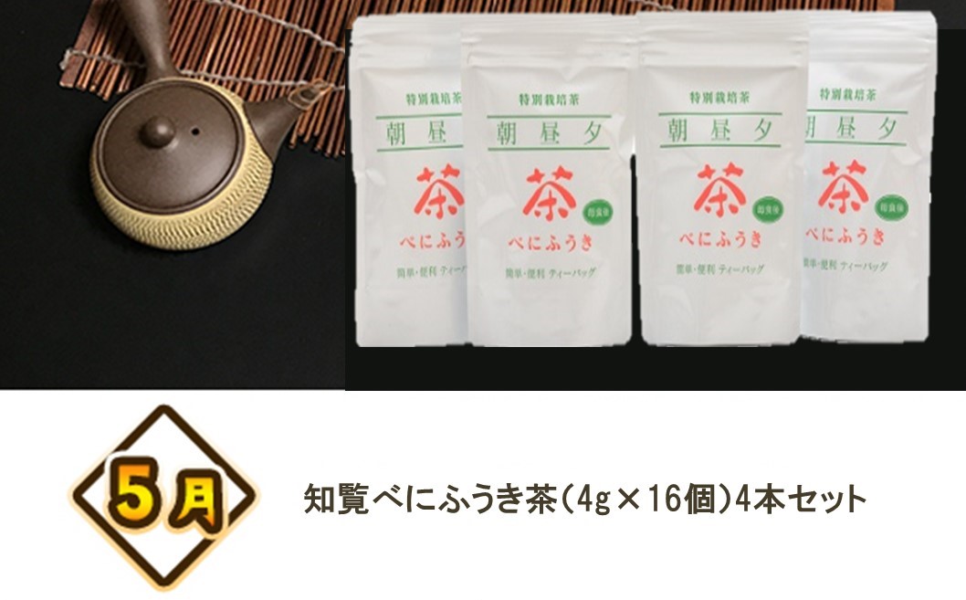 【全4回】南九州トクトク定期便ライトMK-TKL