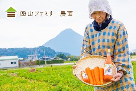 004-01 酵素栽培人参ジュース720ml×6本