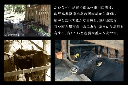 023-23 4等級以上!かわなべ牛サーロインステーキ2枚