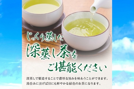 123-03 知覧茶 深蒸し茶・深蒸し茶ティーバッグ・粉末緑茶セット