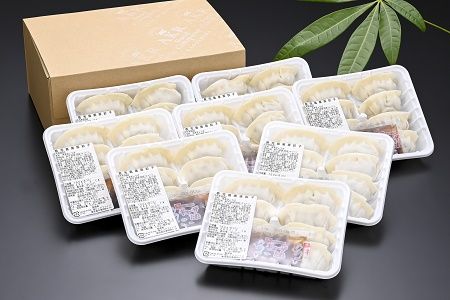 052-03 「かごしま黒豚さつま」餃子64個セット