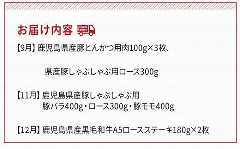 【全7回】お肉わくわく定期便Ⅱ 027-37