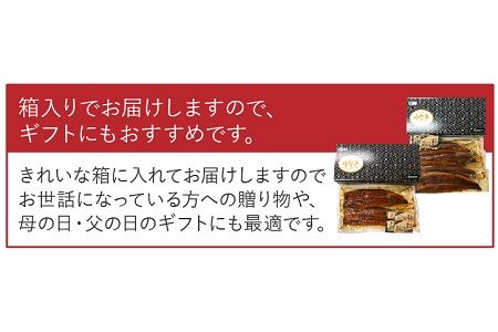 062-3-03 天然地下水育ち!鹿児島県産うなぎ蒲焼2尾