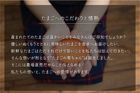【全3回】菊ちゃんのたまご(特級卵)定期便 042-17